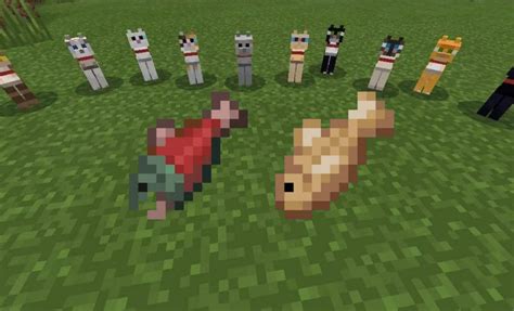 How to Feed Cats in Minecraft and Why They Might Prefer Sushi Over Salmon