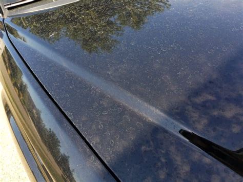 How to Remove Water Spots from Glass Car: A Symphony of Cleanliness and Chaos