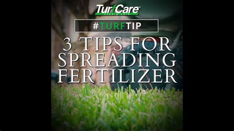 How to Spread Fertilizer Without a Spreader: A Journey Through Unconventional Methods and Philosophical Musings