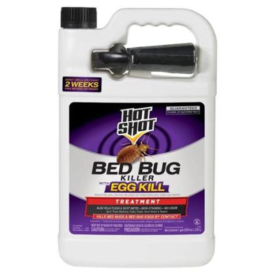 Is Hot Shot Bed Bug Spray Harmful to Humans? And Why Do Spiders Dream of Electric Sheep?