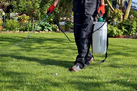 Should I Spray Weed Killer Before or After Mowing: A Comprehensive Guide to Lawn Care